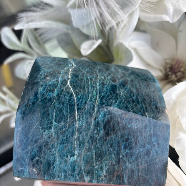 Polished Blue Apatite Free Form Large - Specimen #5