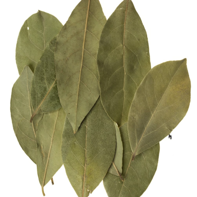Bay Leaf Leaves Pack (5) - Incense Herbs