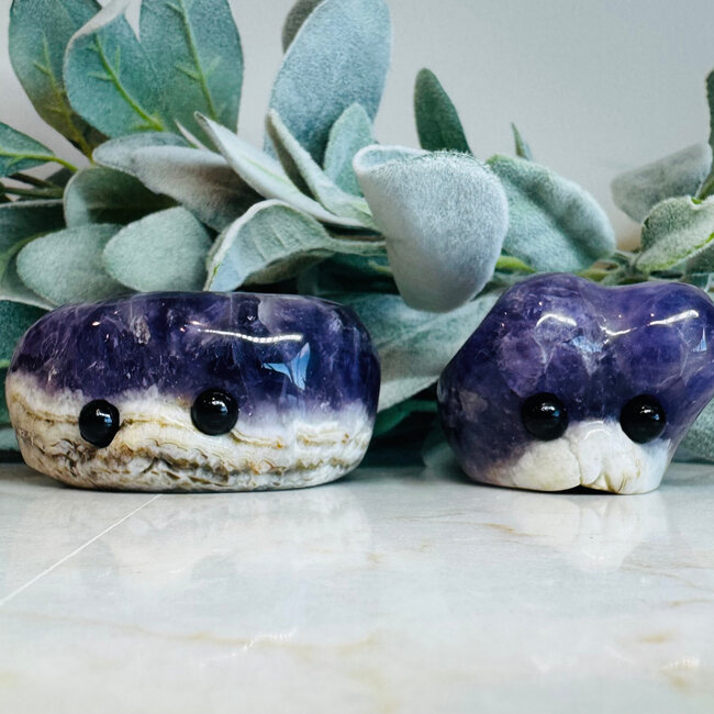 Amethyst with Black Obsidian Eyes - 'Tree Sprout' Medium