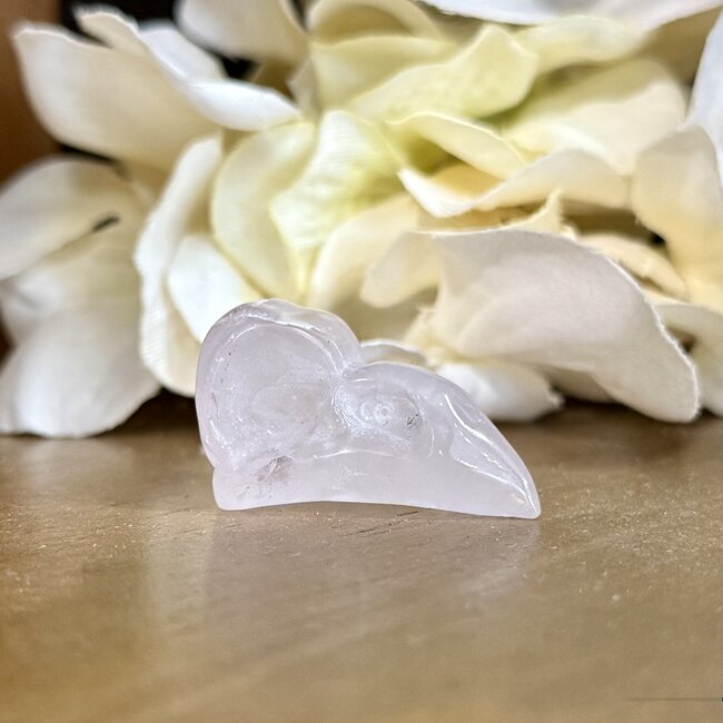 Clear Quartz Raven Head Skull - Small 1" Carvings Figurines
