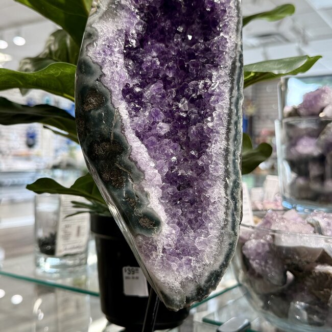 Amethyst & Agate Druzy on Black Pin Stand - 13" Rough Raw Natural Specimen