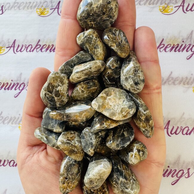 Blue Riebeckite in Quartz - Tumbled