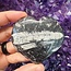 Black Orthoceras Hearts - Medium (Fossil)
