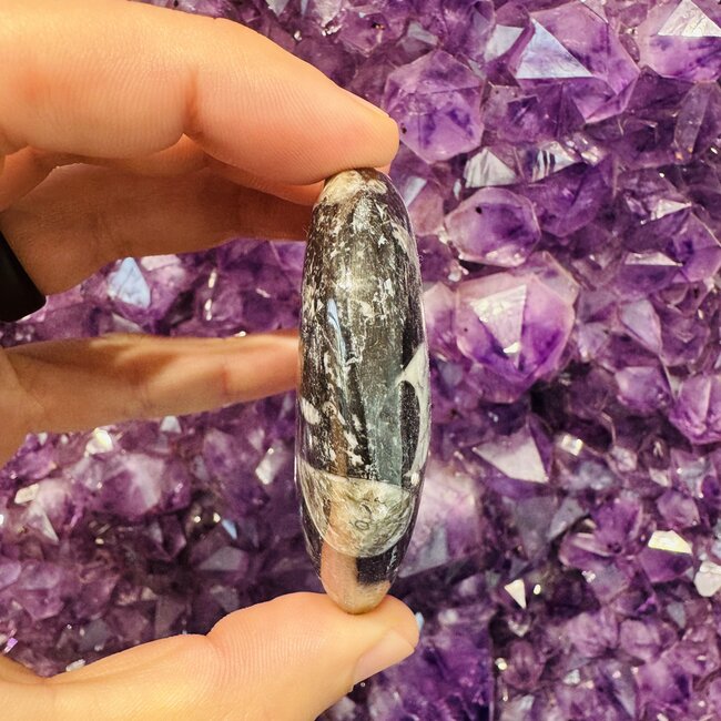 Black Orthoceras (Kuber Stone) Hearts - Medium (Fossil)