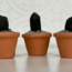 Black Tourmaline Rough Sitting on Clear Quartz Mini Clay Pot - Potted Plant Style , Home Decor