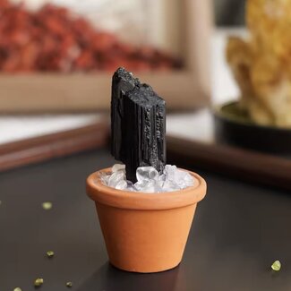 Black Tourmaline Rough Sitting on Clear Quartz Mini Clay Pot - Potted Plant Style , Home Decor