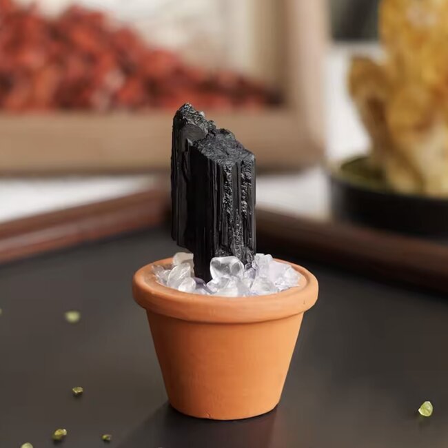 Black Tourmaline Rough Sitting on Clear Quartz Mini Clay Pot - Potted Plant Style , Home Decor