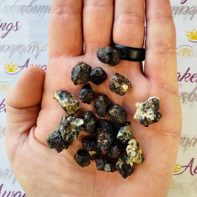Chondrodite (Maclureite) - Rough Raw Natural
