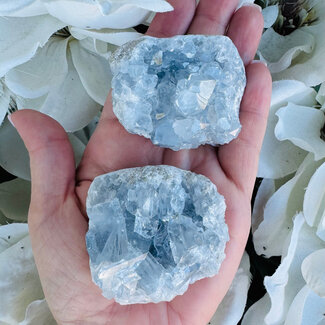 Blue Celestite (Celestine) Druzy Extra Large (XL) - Rough Raw Natural