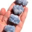 Blue Celestite (Celestine) Druzy Large - Rough Raw Natural