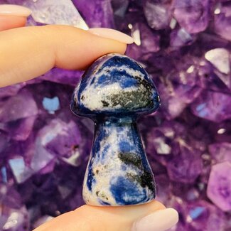 Sodalite Mushrooms - Medium 2"