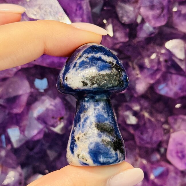 Sodalite Mushrooms - Medium 2"