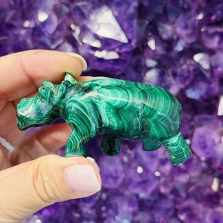 Malachite Hippos - Medium 2.5" Animal Carving Malachite Hippos - Medium 2.5" Animal Carving