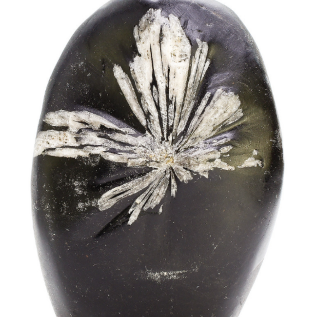 Chrysanthemum (Flower) Stone - Free Form Freeform Large 4-6"