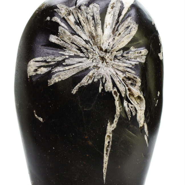 Chrysanthemum (Flower) Stone - Free Form Large 4-6"