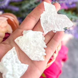 Selenite (Satin Spar Gypsum) Fishtail Small - Rough Raw Natural