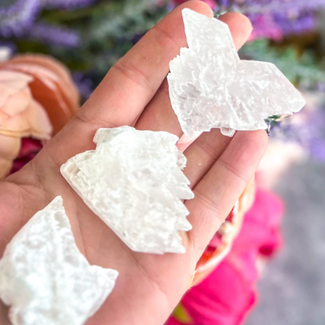 Selenite (Satin Spar Gypsum) Fishtail Small - Rough Raw Natural