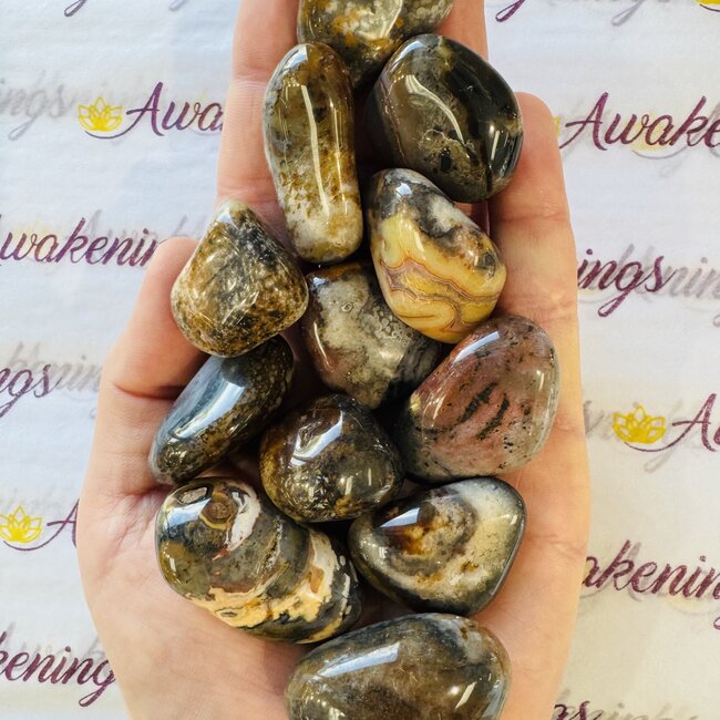 Curucu Jasper - Tumbled