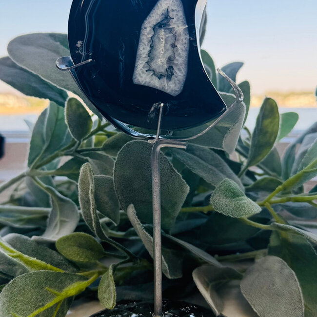 Black Agate Crescent Moons on Silver Stand Pin - 7-8" Large