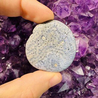 Blue Sponge Coral Flats Slabs Slices Smooth Palm