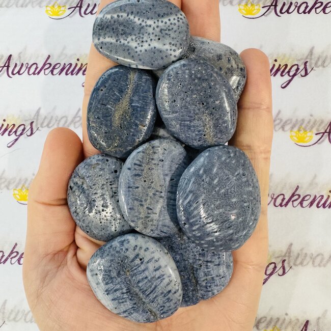 Blue Sponge Coral Flats Slabs Slices Smooth Palm