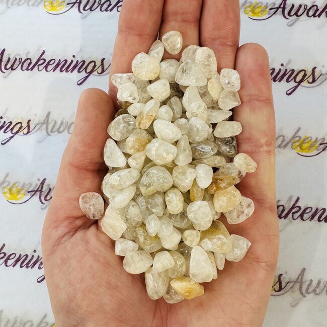 Amblygonite (Small) - Tumbled