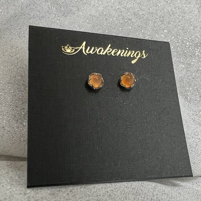 Carnelian Earrings - 4mm Round Stud Claw Prong Set Sterling Silver