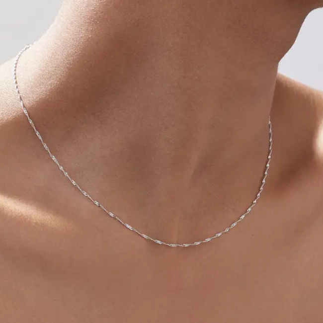 Necklaces - 18" Twist Chain (Silver Plated on Copper) - Pendants