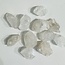 Elestial (Skeletal Window Jacare Alligator) Clear Crystal Quartz - Small - Rough Raw Natural