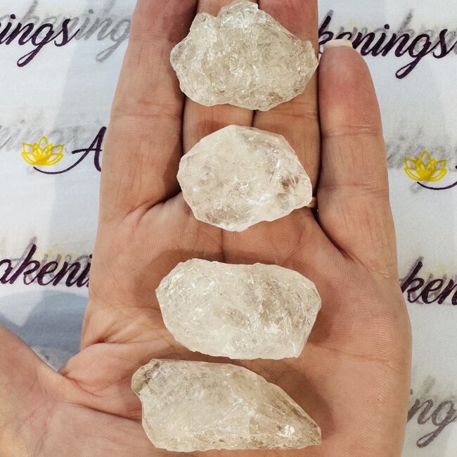 Elestial (Skeletal Window Jacare Alligator) Clear Crystal Quartz - Small - Rough Raw Natural