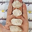 Elestial (Skeletal Window Jacare Alligator) Clear Crystal Quartz - Small - Rough Raw Natural