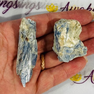 Blue Kyanite - Medium (2-4") Rough Raw Natural