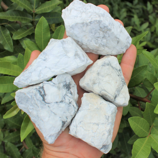 White Howlite (Magnesite) Large - Rough Raw Natural