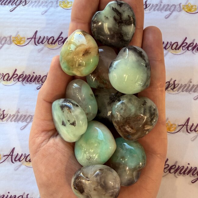 Quantum Quattro Hearts