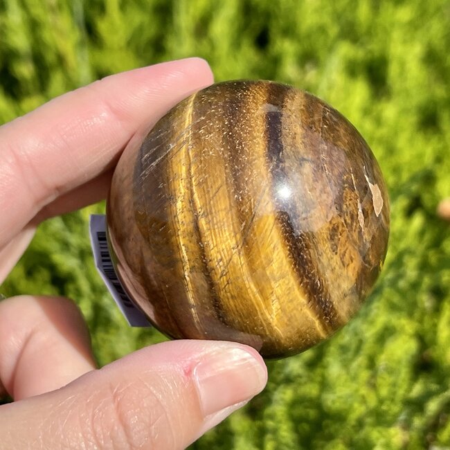 Gold Tigers Eye Sphere Orb - 50-55mm (1.95-2.15")
