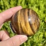 Gold Tigers Eye Sphere Orb - 50-55mm (1.95-2.15")