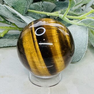 Gold Tigers Eye Sphere Orb - 50-55mm (1.95-2.15") Gold Tigers Eye Sphere Orb - 50-55mm (1.95-2.15")