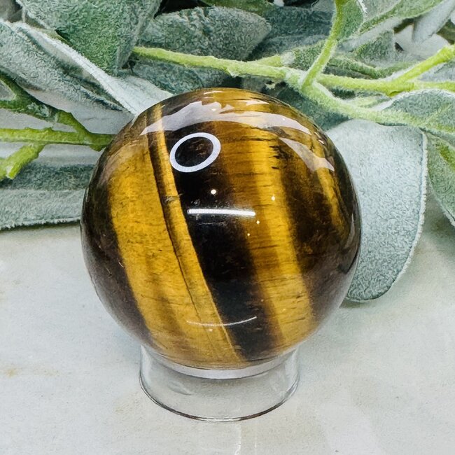 Gold Tigers Eye Sphere Orb - 50-55mm (1.95-2.15")