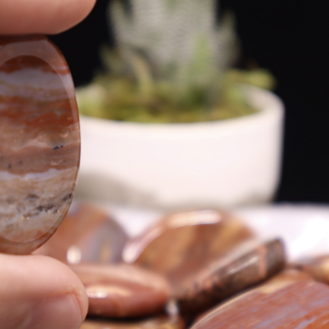 Petrified Wood Worry (Thumb Fidget Relaxation Pocket) Stones - Large Oval