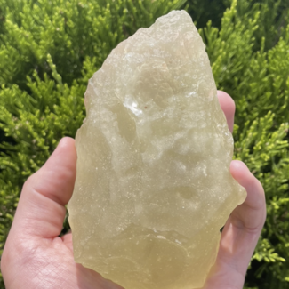 Libyan Tektite Desert Glass (Great Sand Sea Glass Lechatelierite) Specimen - 522 grams Rough Raw Natural