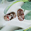 Fire Quartz (Red Hematoid) & Rainbow Moonstone Palm Pillow Pocket Stone - Small