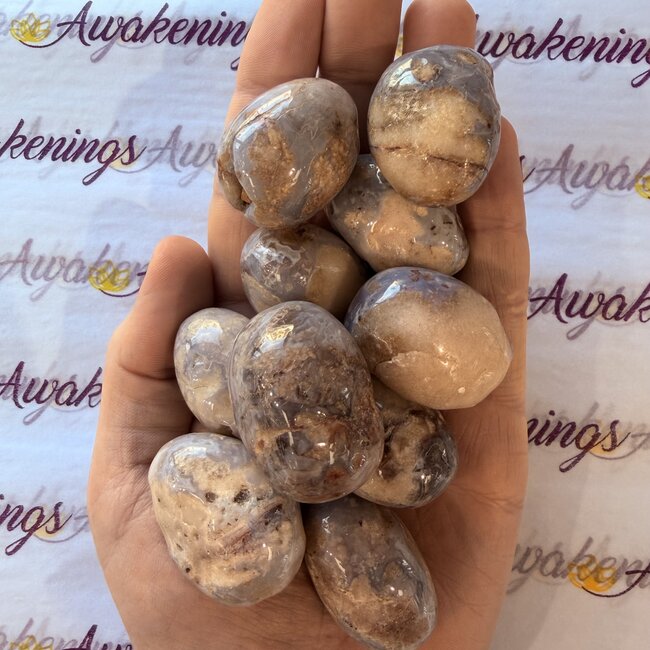 Blue Cherry Blossom (Flower Sakura) Agate - Tumbled