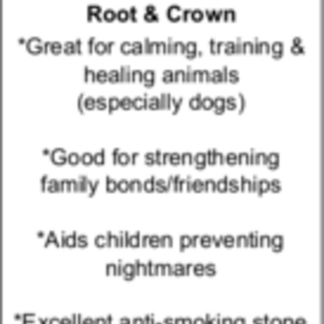 Dalmatian Jasper Necklaces - Point on Bead Chain 18" Silver Plated