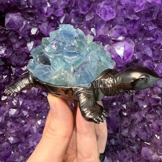 Rainbow Fluorite Turtle - Druzy 4.5" Dark Brass - Rough Raw Natural Carving