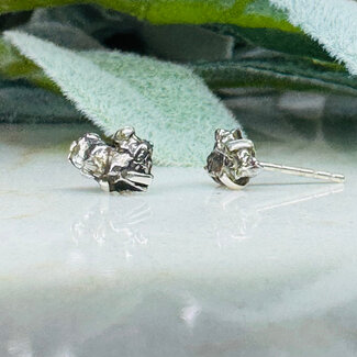 Meteorite Earrings - Rough Raw Natural Studs Claw Prong Set - Sterling Silver