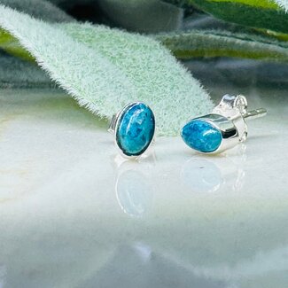 Shattuckite Earrings - Oval Studs Bezel Set - Sterling Silver