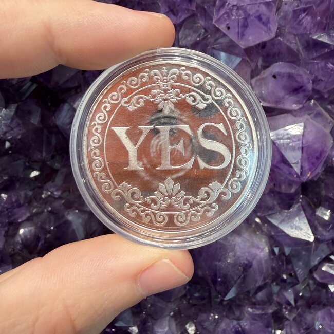 Coin Yes No - Mystical Flip Answer Silver Metal In Case - Divination Tool