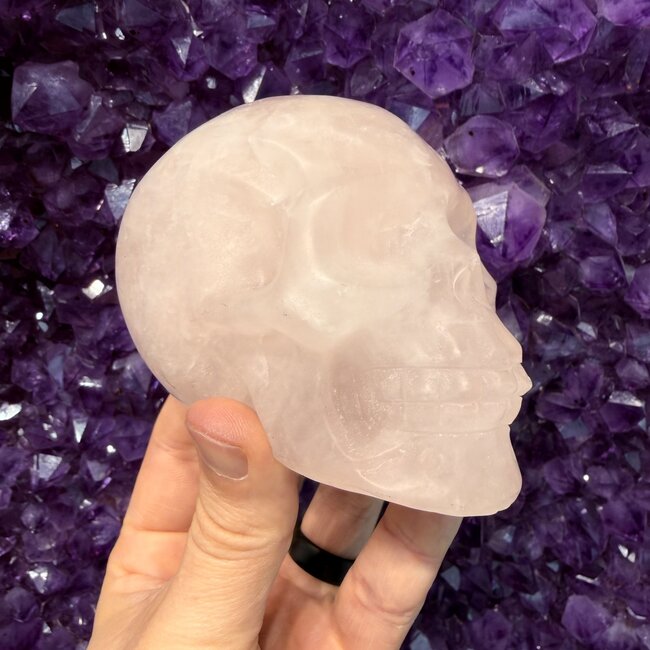 Rose Quartz Skull XXL