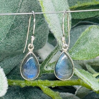 Labradorite Earrings - Drop Dangle Teardrop Pear Bezel Set - Sterling Silver
