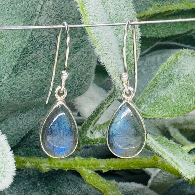 Labradorite Earrings - Drop Dangle Teardrop Pear Bezel Set - Sterling Silver